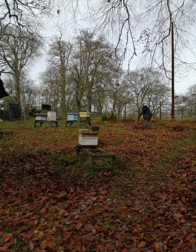 Jill Gathers More Leaves