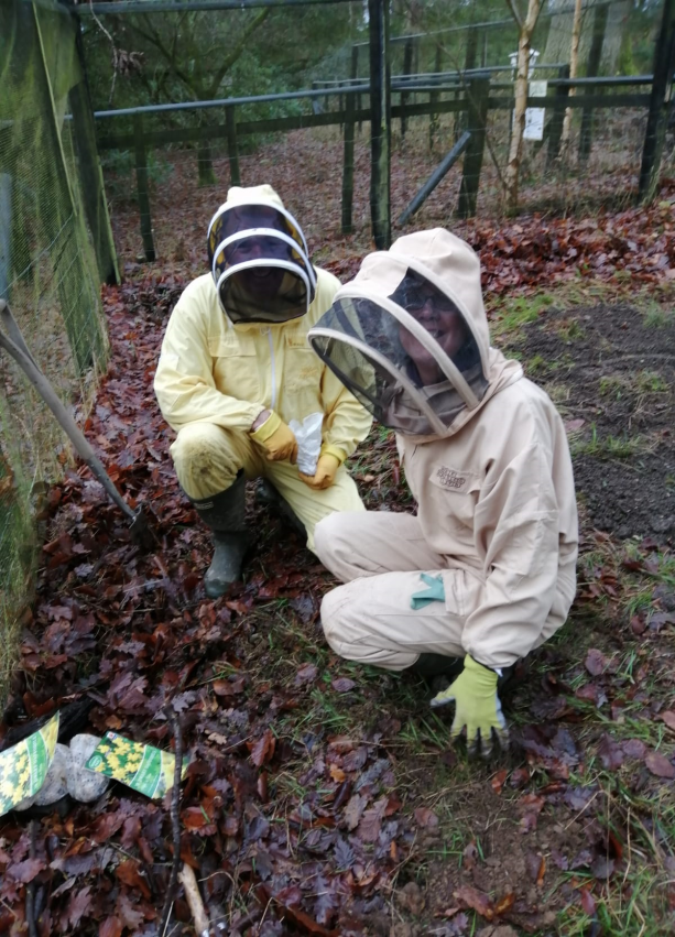 Joy and Mark planting